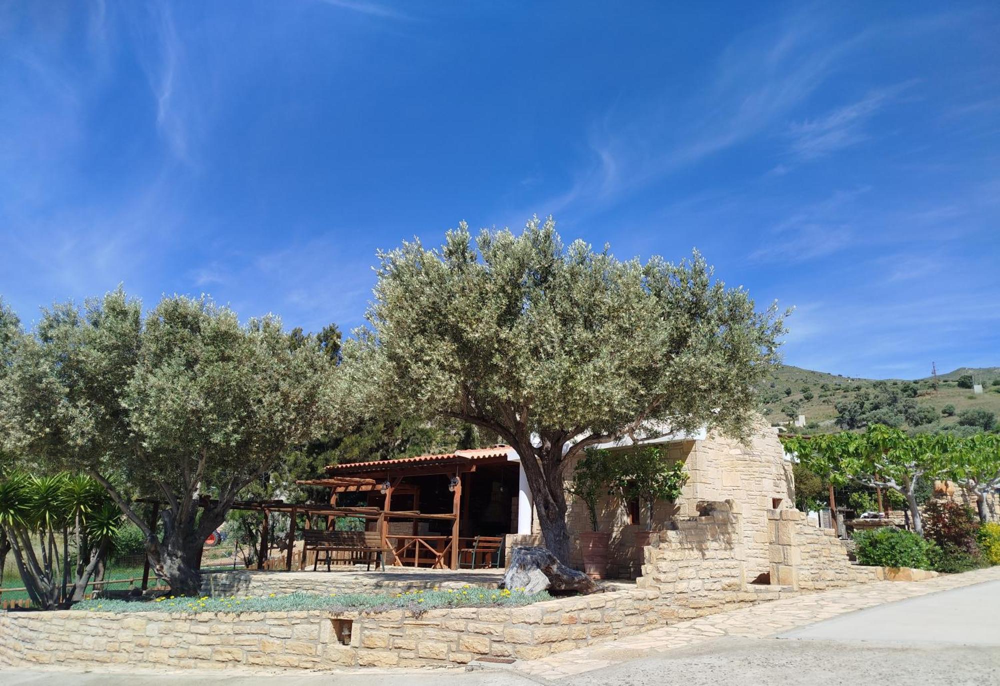 Alexena Apartments Agia Galini  Exterior photo